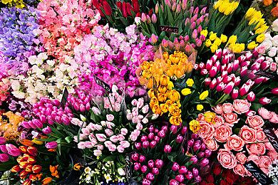 KK怀旧专区大更新，最难防守RPG等你挑战！